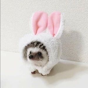 Meet your Posher, Felicity